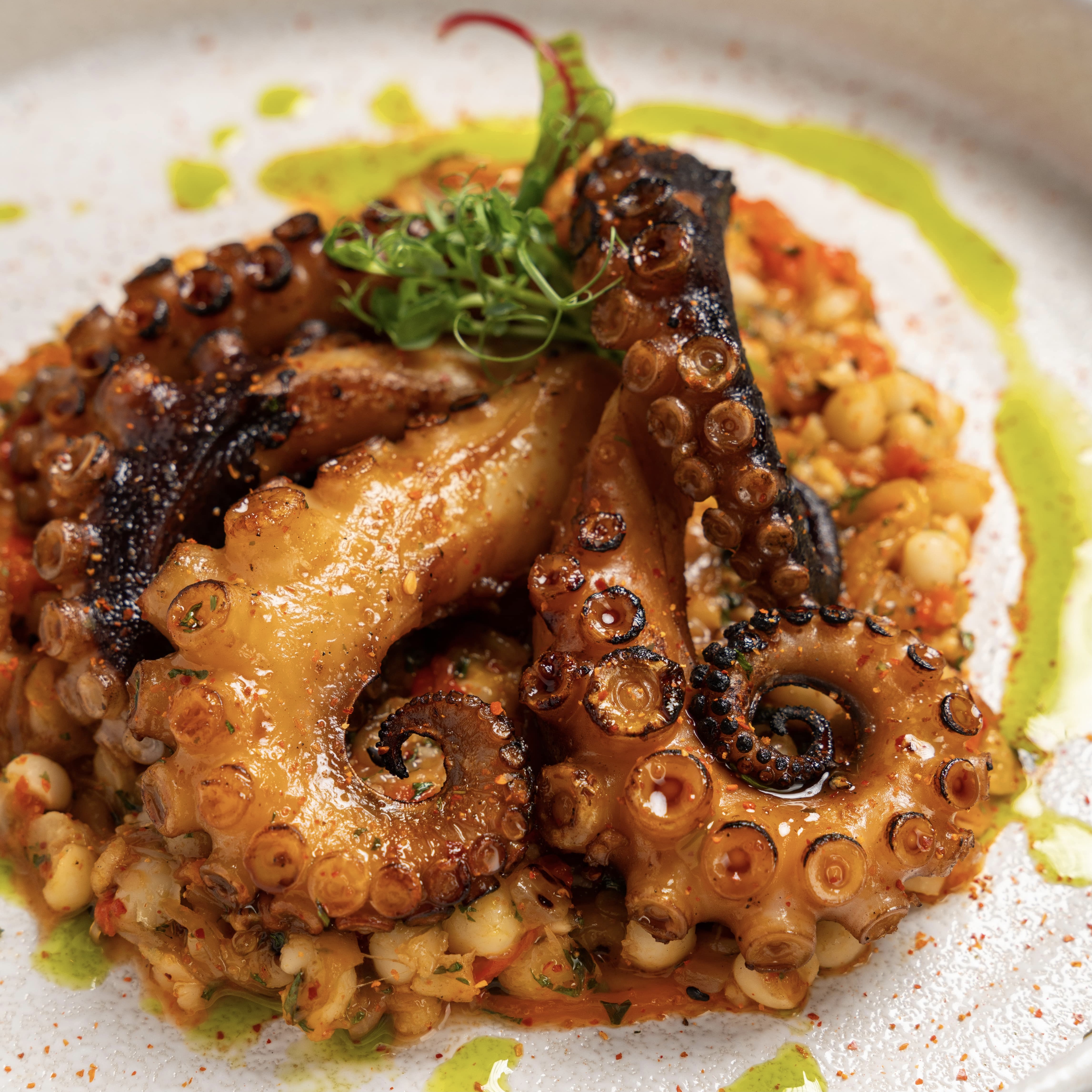Grilled Octopus, Spicy Pearl Barley